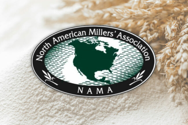 NAMA Logo