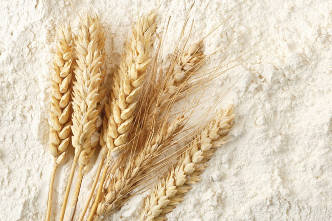 Wheat flour