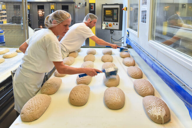 Bread manufacturing line