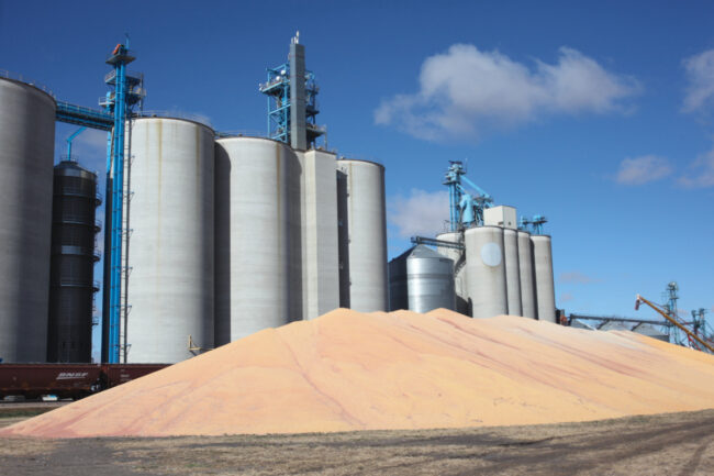 Flour mill with grain overflow