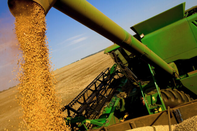 Soybean harvest