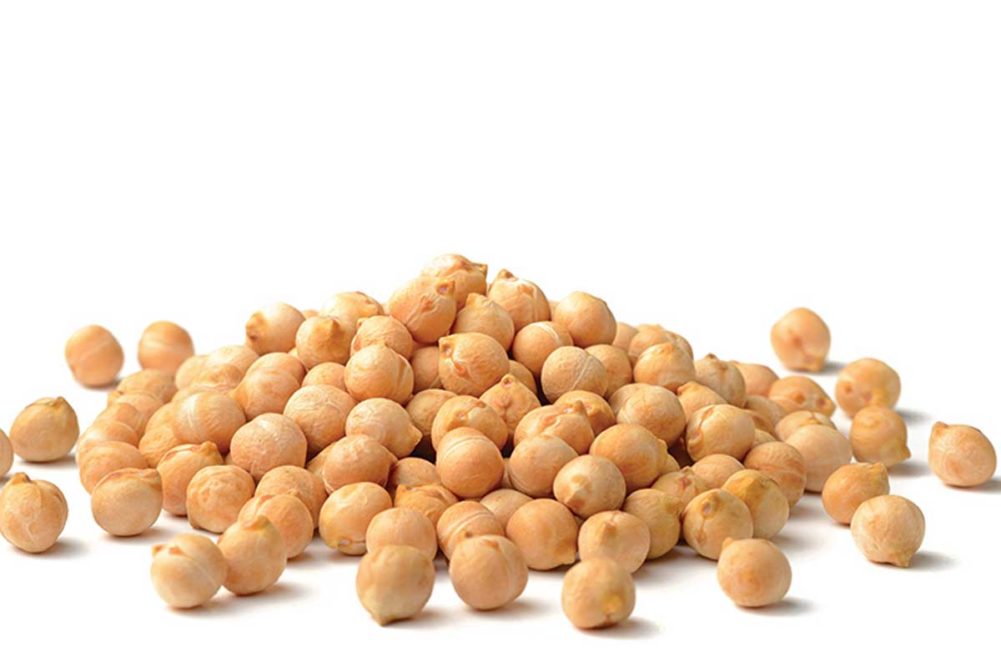 Chickpea