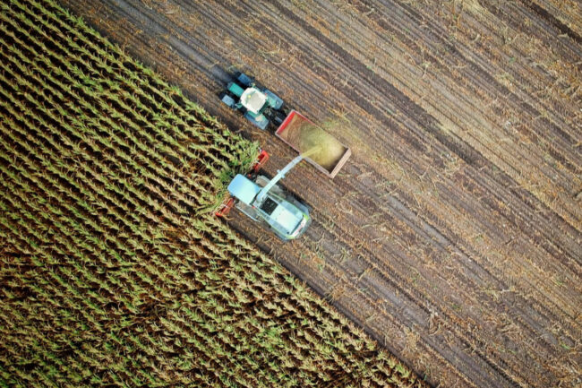 Tate & Lyle PLC harvesting