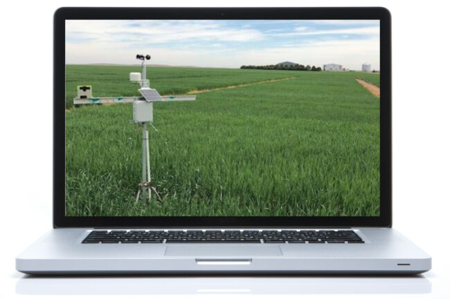 Virtual wheat tour in Colroado