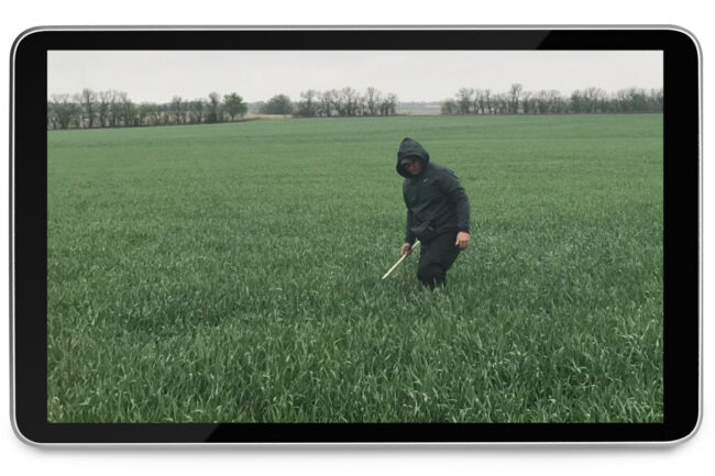 Virtual wheat tour