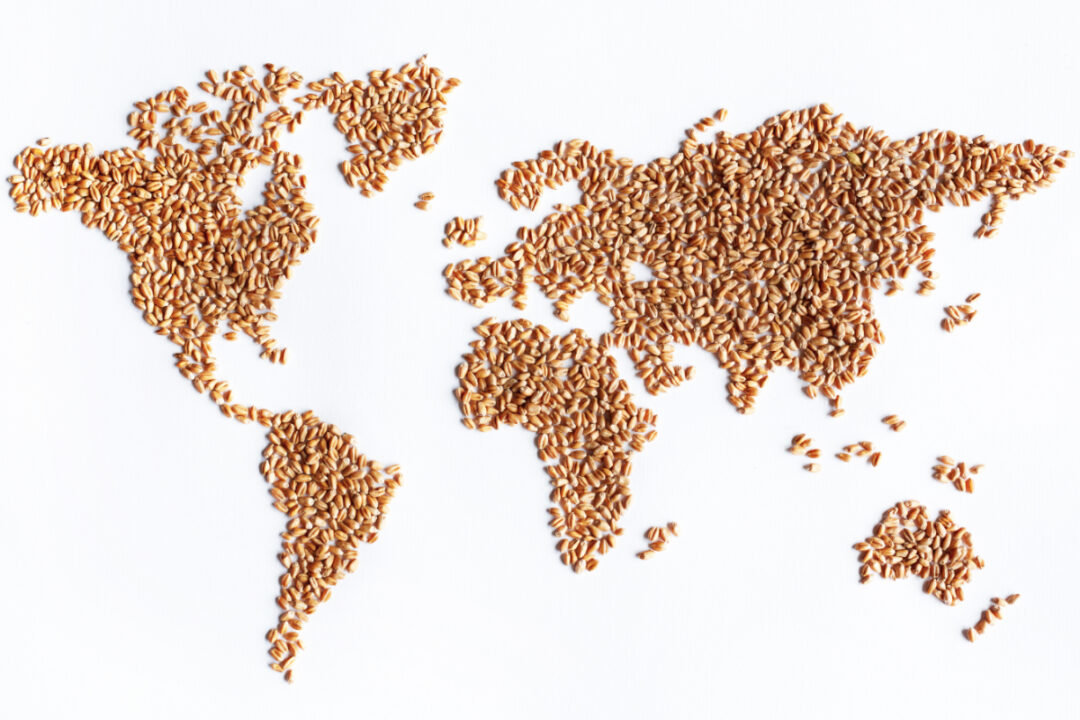 Usda Forecasts Record World Wheat Supply And Use In 2020 21 2020 05