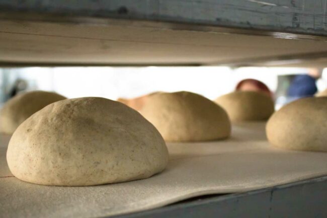 Rising bread loaves