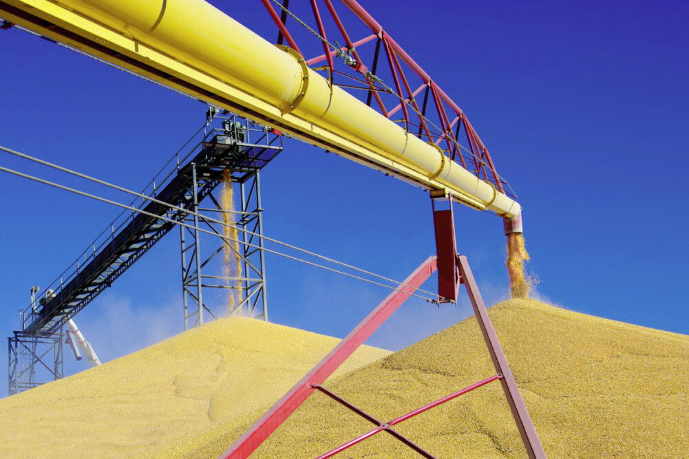 Grain bin unloading corn