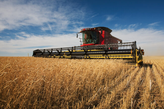 Wheat combine