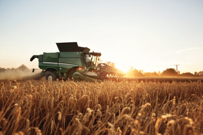 Wheat harvesting combine