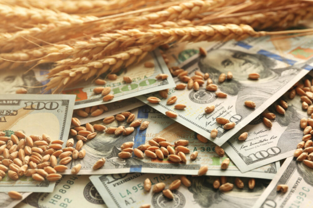 Wheat money