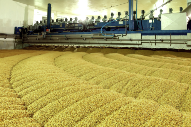 Malt processing