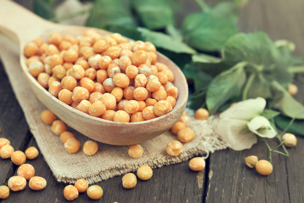 Dry yellow peas in a spoon.