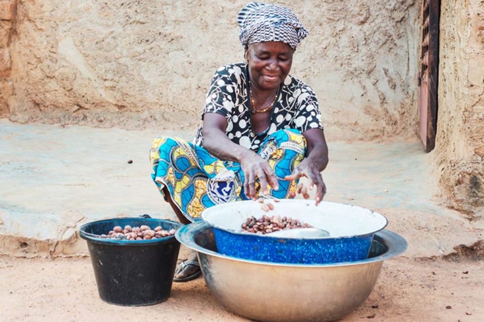 Mars, AAK join project to help women shea workers in Ghana | 2021-06-11 ...