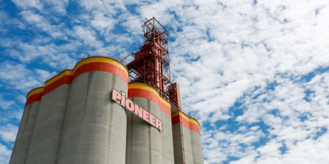 Richardson grain elevator