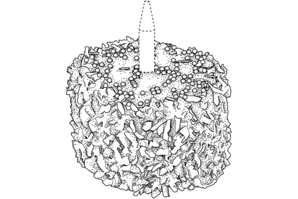 Patent, Drawing