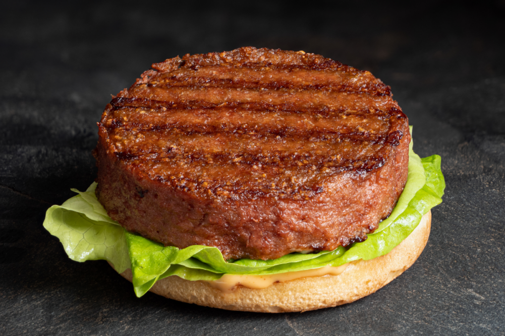 Plant-based burger patty.