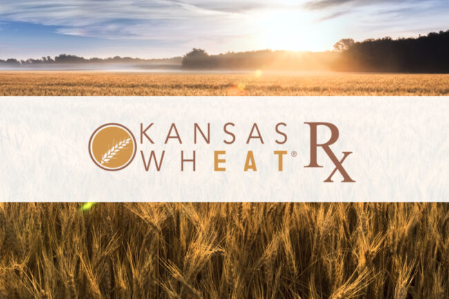 Kansas Wheat Rx logo