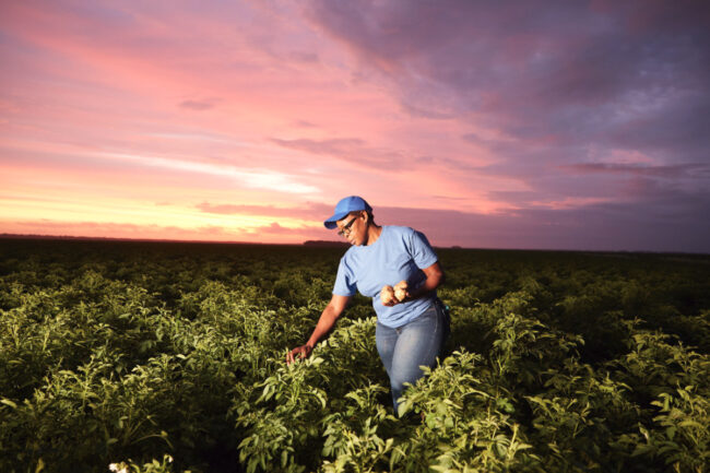 PepsiCo regenerative agriculture