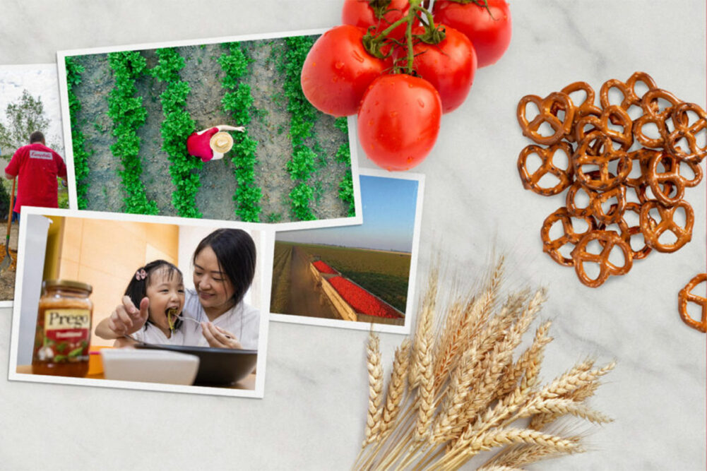 Campbell Soup ingredient collage, pretzels, tomatoes, wheat