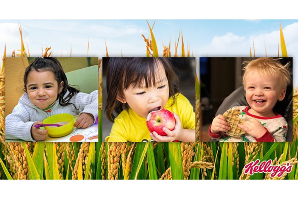 Kellogg Co. food systems banner