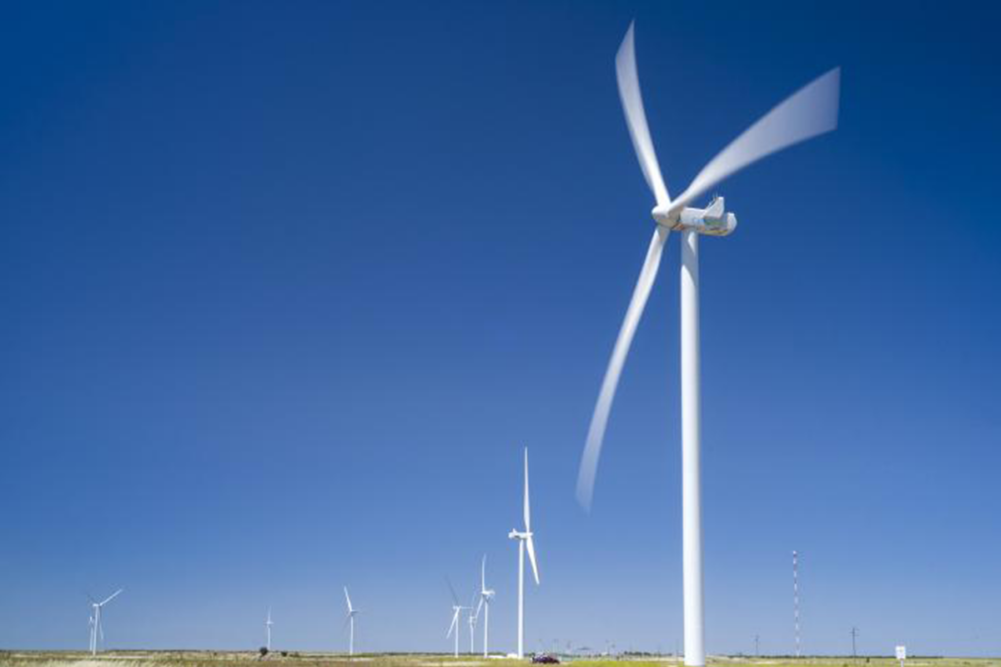 Grupo Bimbo wind farm