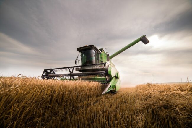 Wheat combine