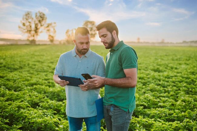 Men on tablets, field, agriculture