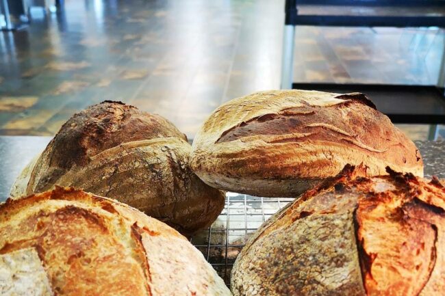 Cornmeal sourdough loaves