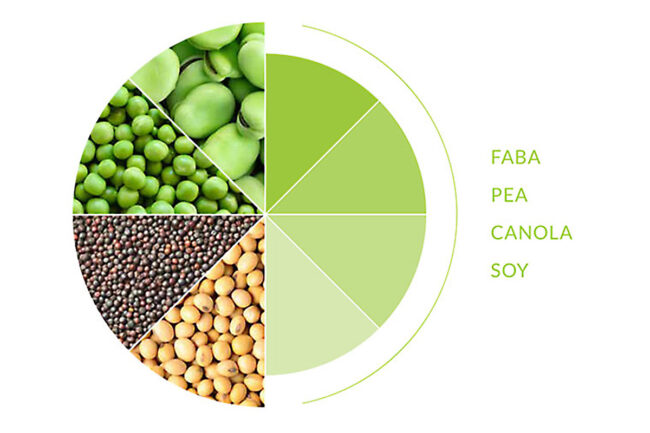 Chart of pulses