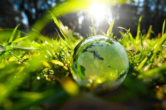 Sustainability graphic, grass, glass globe, Adobe Stock