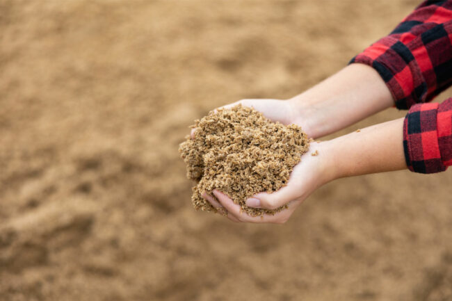 Woman holding spent grain