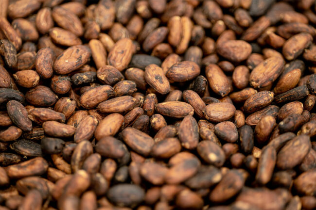 Cocoa beans