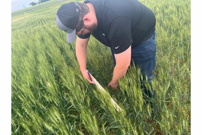 Coleman Forst stands in wheat field. 