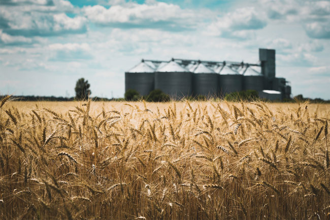 Grain Elevator.