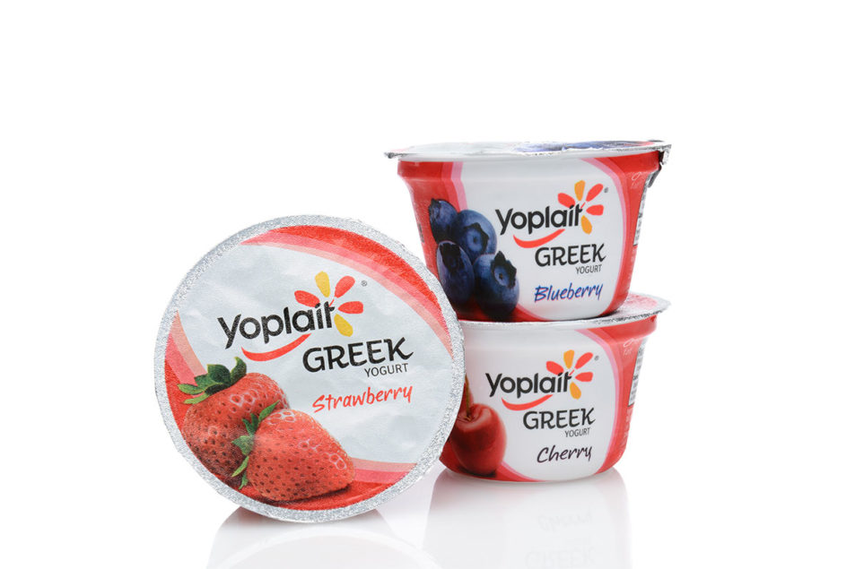 10 Top Selling Yogurt Makers for 2024 - The Jerusalem Post