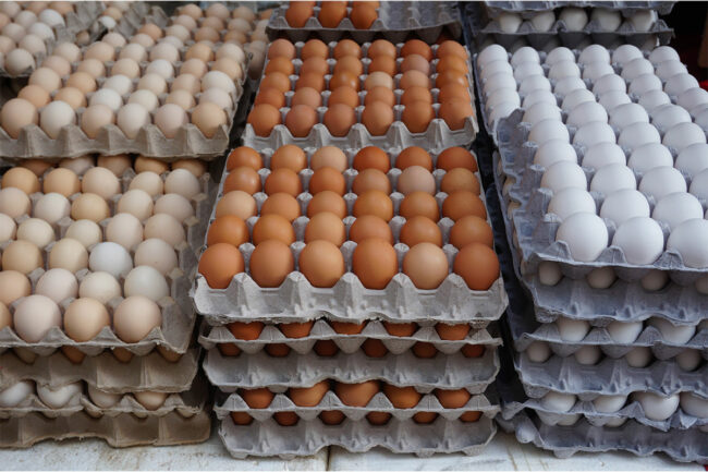 Cartons and cartons of eggs. 