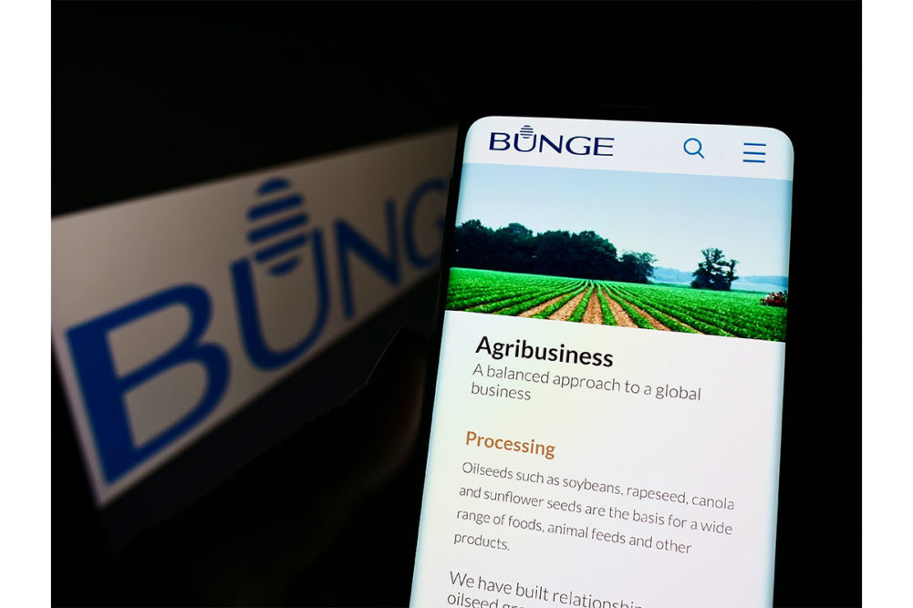 Bunge. 