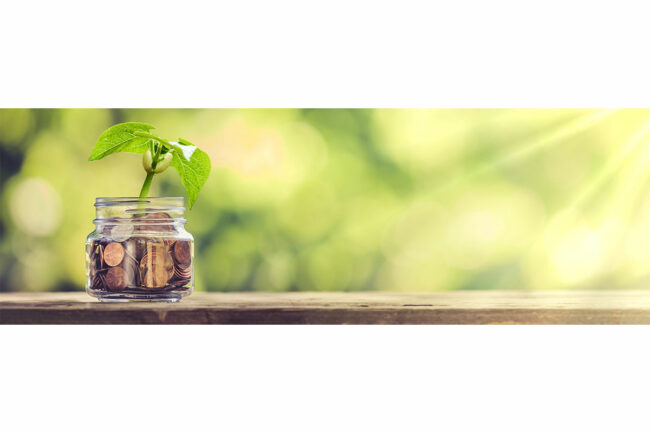 Plant growing from jar of pennies. 