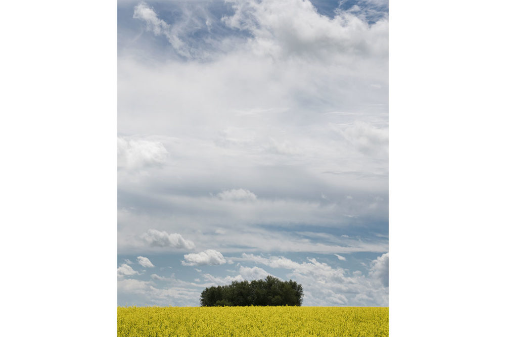 Canadian Prairies.