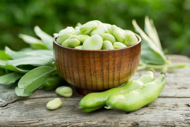 Bowl of fava beans. 