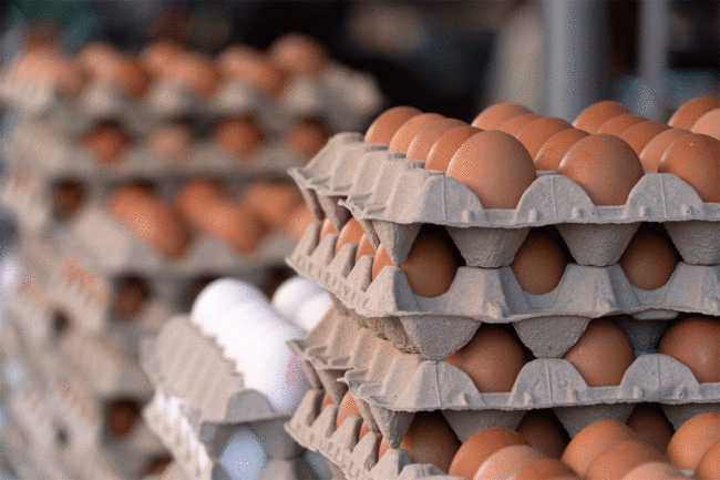 Cartons of brown and white eggs. 