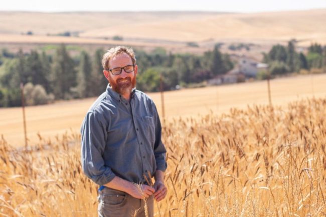 Kevin Murphy, professor of international seed and cropping systems at Washington State University, has been named the new director of the WSU Breadlab.