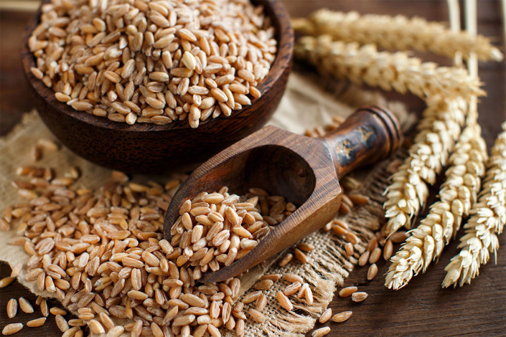 Bowl of grains with seeds. 