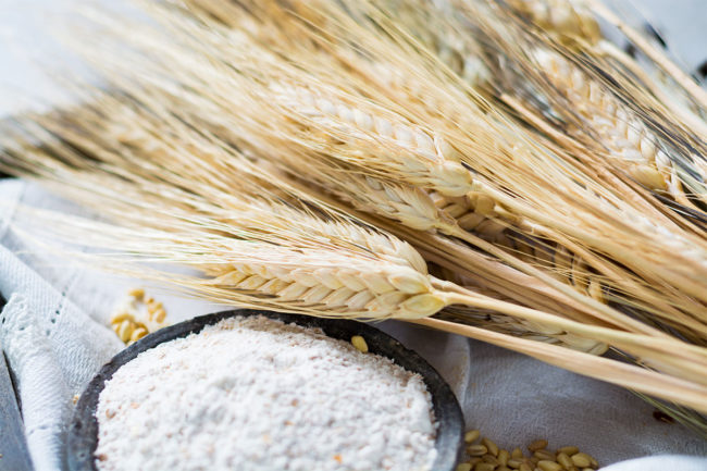 Durum wheat with flour. 
