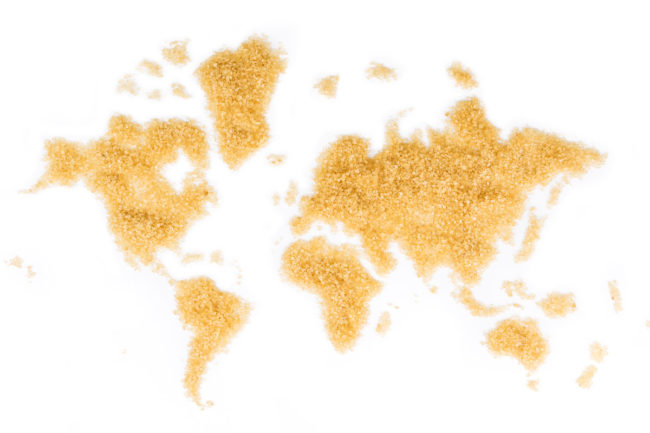 Map of the world in sugar. 