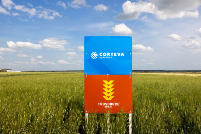 Corteva Agriscience sign in wheat field. 