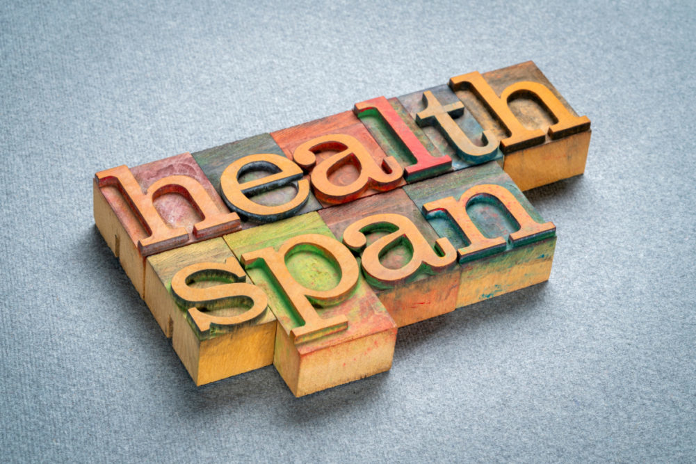 HEALTHSPAN written out in block letters.