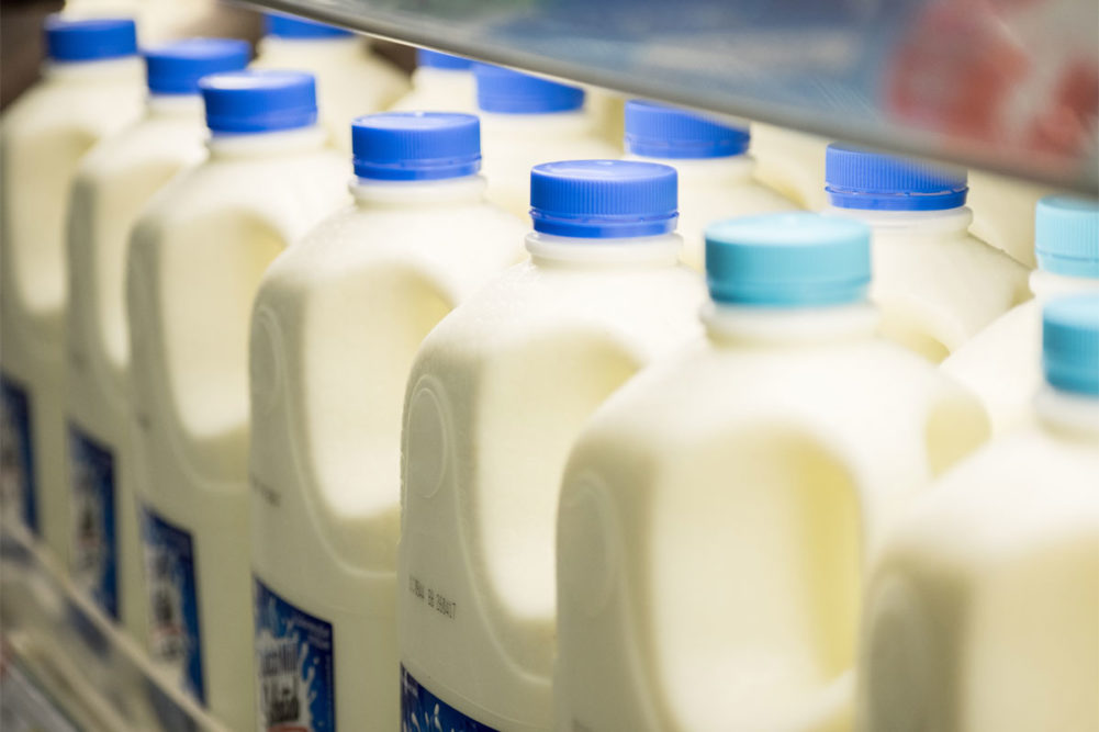 Gallons of milk at the supermarket. 