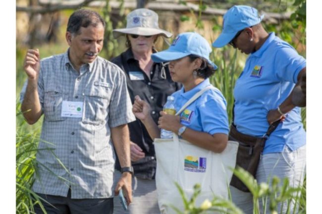 Vara Prasad, KSU distinguished professor, at an agricultural technology park in Cambodia interacting with scholars.